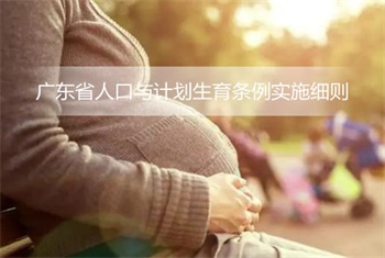 广东省人口与计划生育条例实施细则