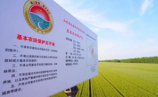 北京市基本农田保护条例最新修订