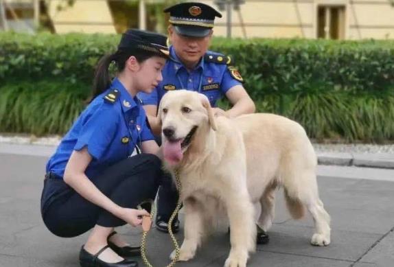 汉中市养犬管理条例最新修订