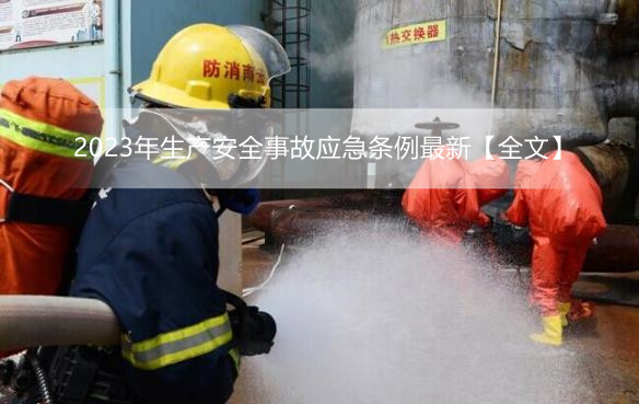 2023年生产安全事故应急条例最新【全文】