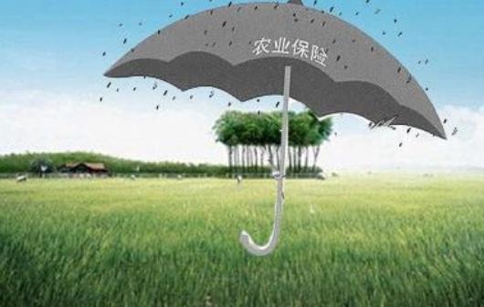 2023年农业保险条例修订【全文】