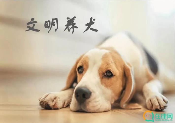 2023年忻州市养犬管理条例最新【全文】