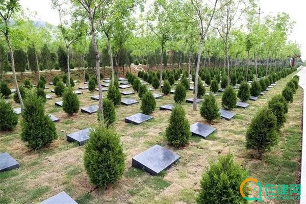 酉阳土家族苗族自治县殡葬管理条例