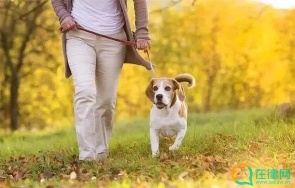  拉萨市养犬管理条例