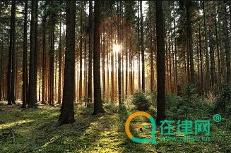 2024中华人民共和国森林法释义：第四十三条