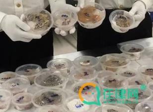 2024中华人民共和国进出境动植物检疫法最新修正版全文