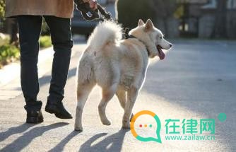 2024绵阳市养犬管理条例最新修订全文