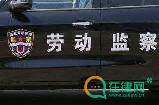 2024劳动保障监察条例最新修正全文