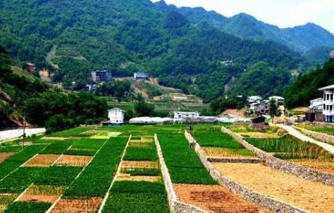 2024年江西省国土资源监督检查条例最新全文