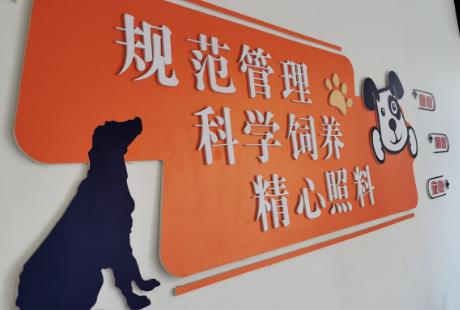 2024台州市养犬管理条例最新全文