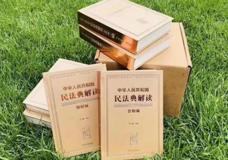 2024年中华人民共和国民法典总则编解读最新