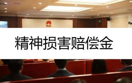 国家赔偿案件确定精神损害赔偿责任适用法律若干问题的解释